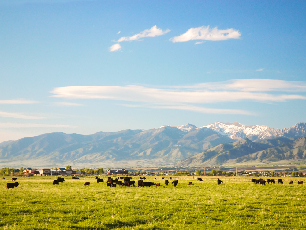 Get Ready for Summer in Bozeman Mountain Home Montana