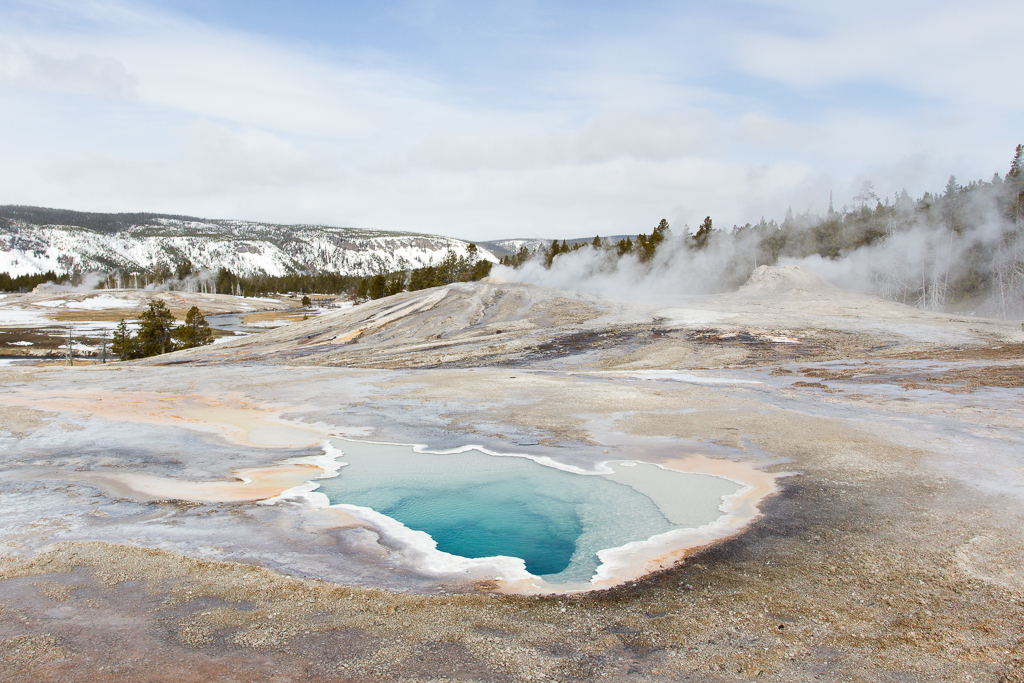 Hot spring in Yellowstone National Park