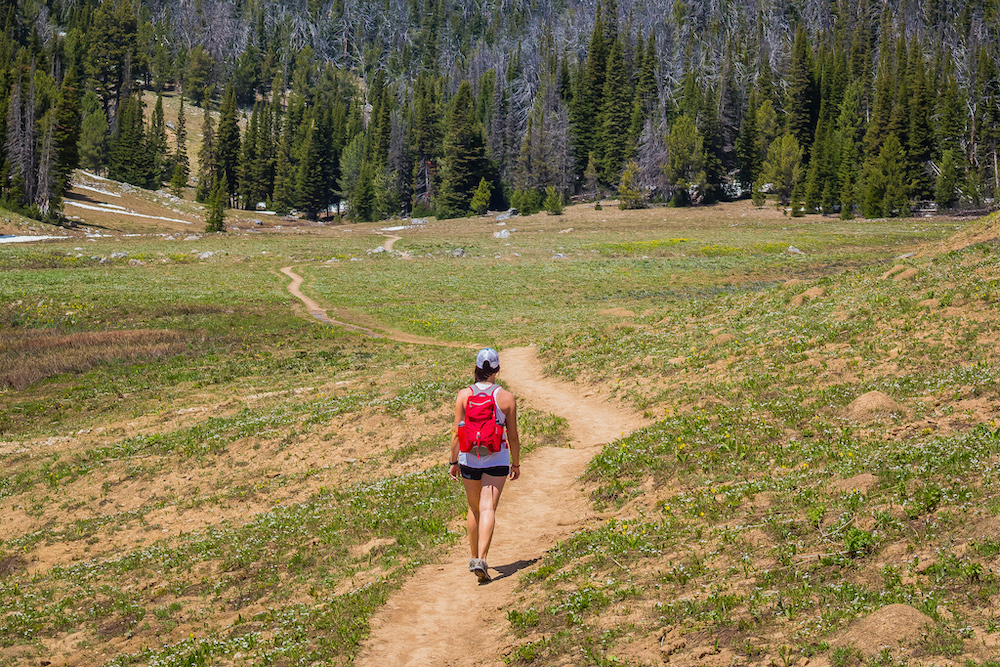 Moose Tracks Trail Big Sky