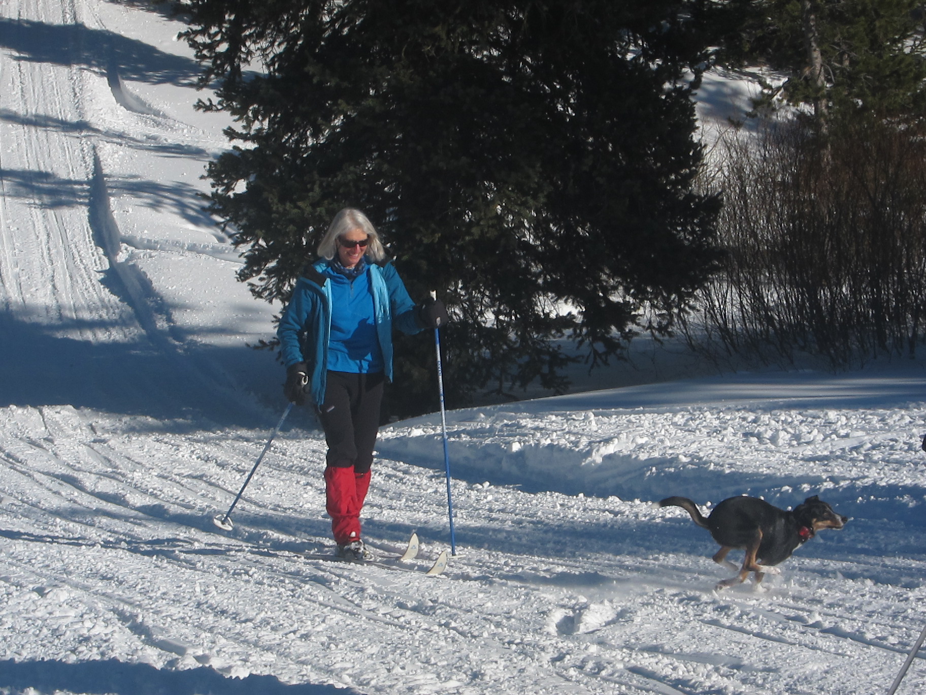 Cross country skiing in Yellowstone