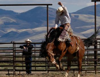 Montana Horse Riding - Mountain Home Montana