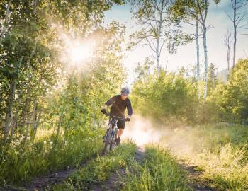 Mountain Biker Riding Through Green Aspen Grove in Montana during Golden Hour