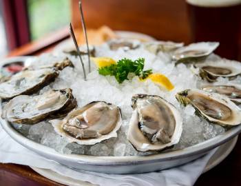 A platter of raw oysters on ice