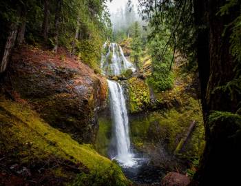 A cliffside waterfall surrounded by trees