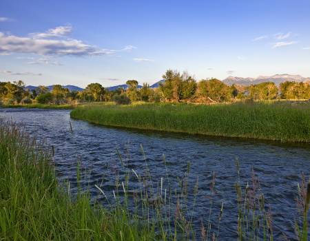 River going through a field in Montana during a sunny day.