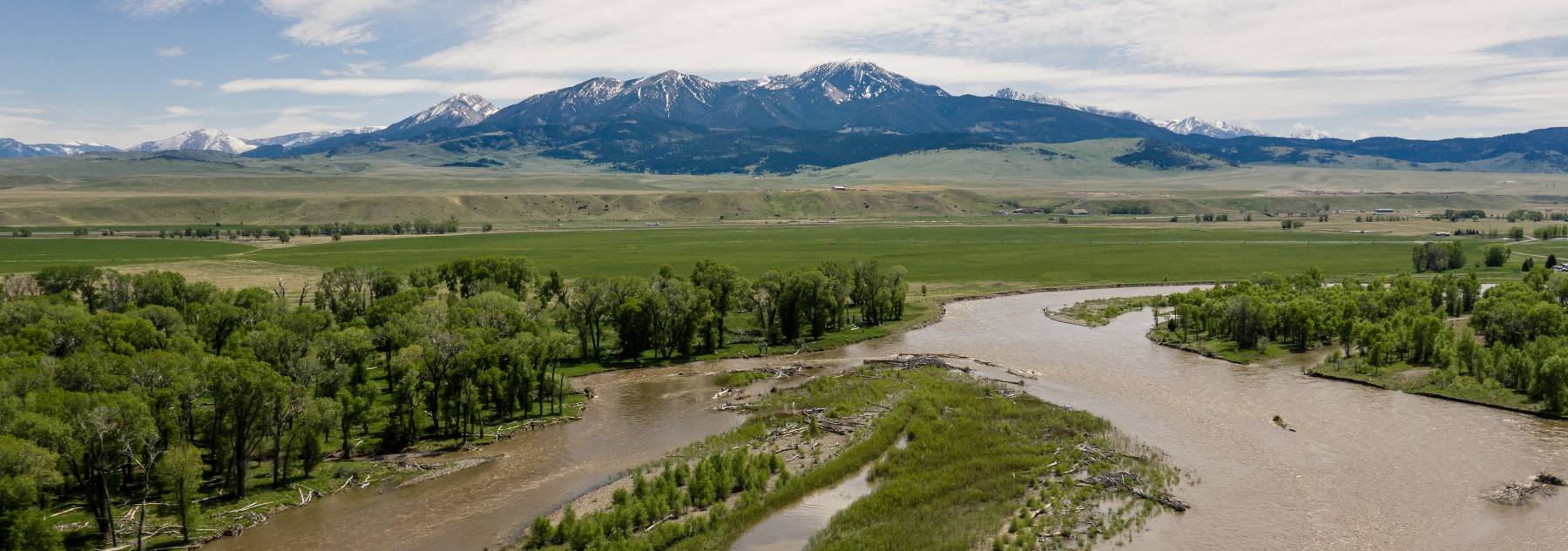 Yellowstone River snaking through a forest with mountains behind it.
