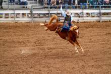 A cowboy riding bareback at a rodeo.