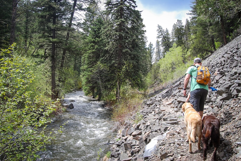 Man hiking with dog