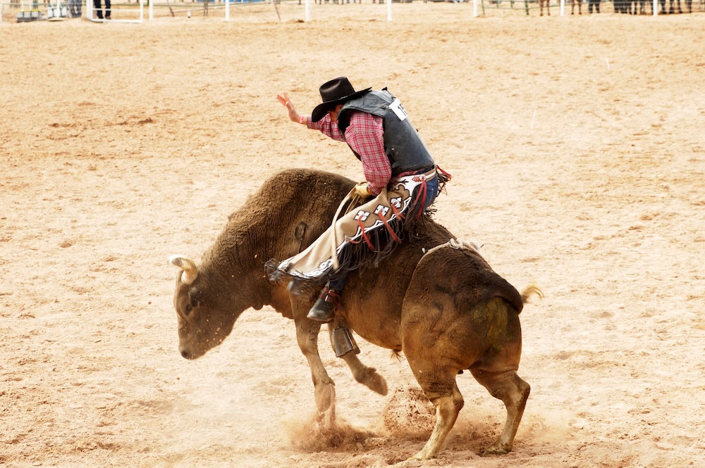 Bull riding