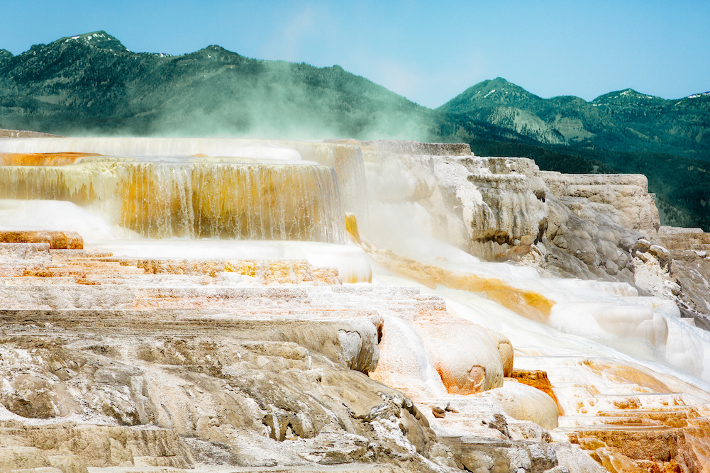 mammoth hot springs in yellowstone