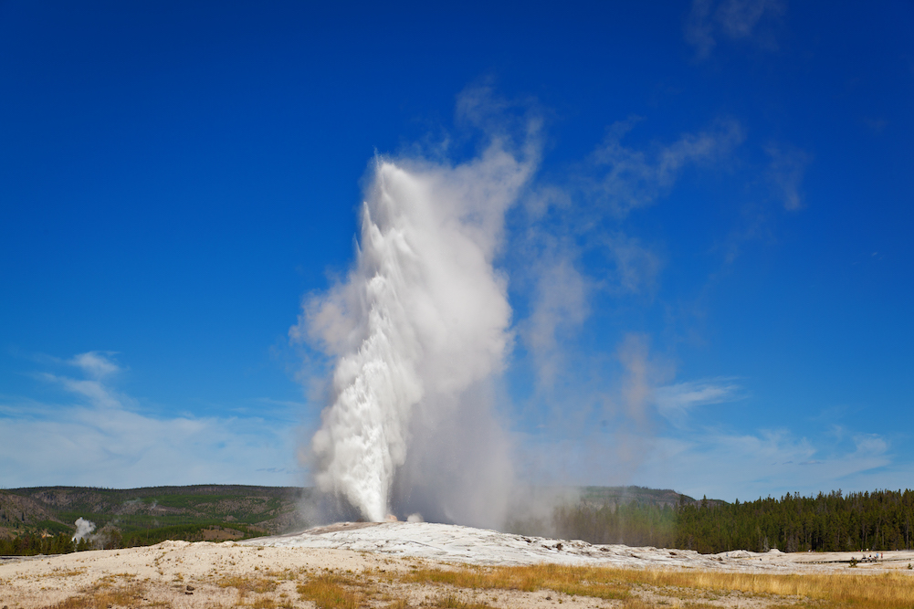 Old Faithful in Yellowstone