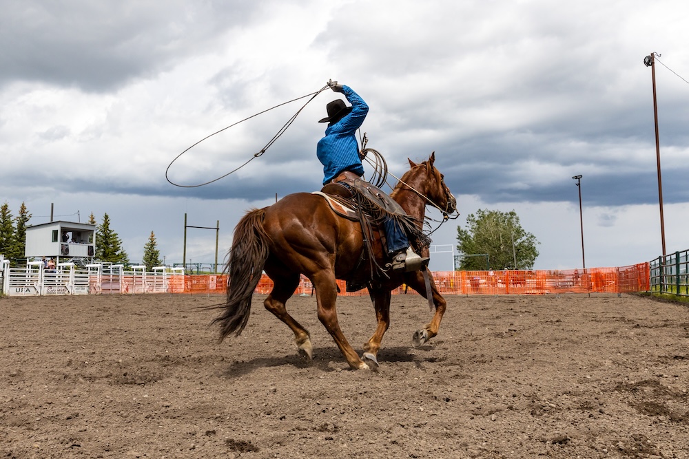 Rodeo Bronco Riding