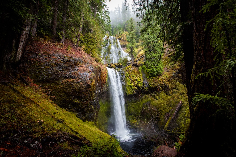 A cliffside waterfall surrounded by trees