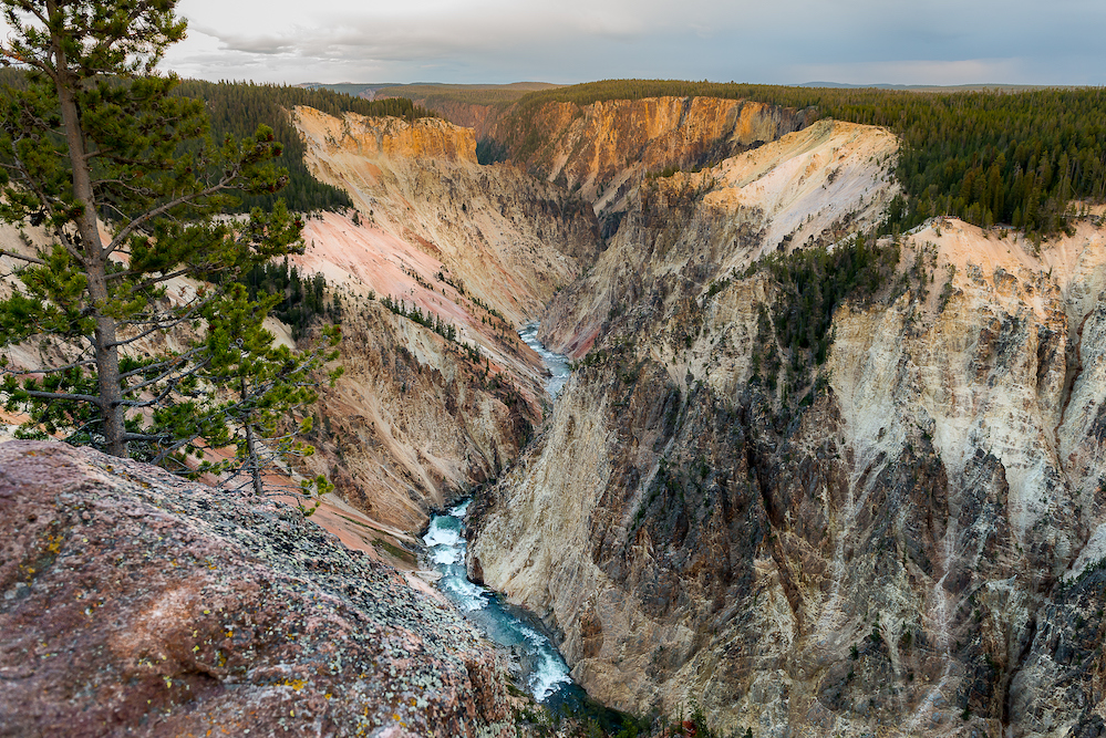 the grand canyon of the yellowstone with view of yellowstone river running through